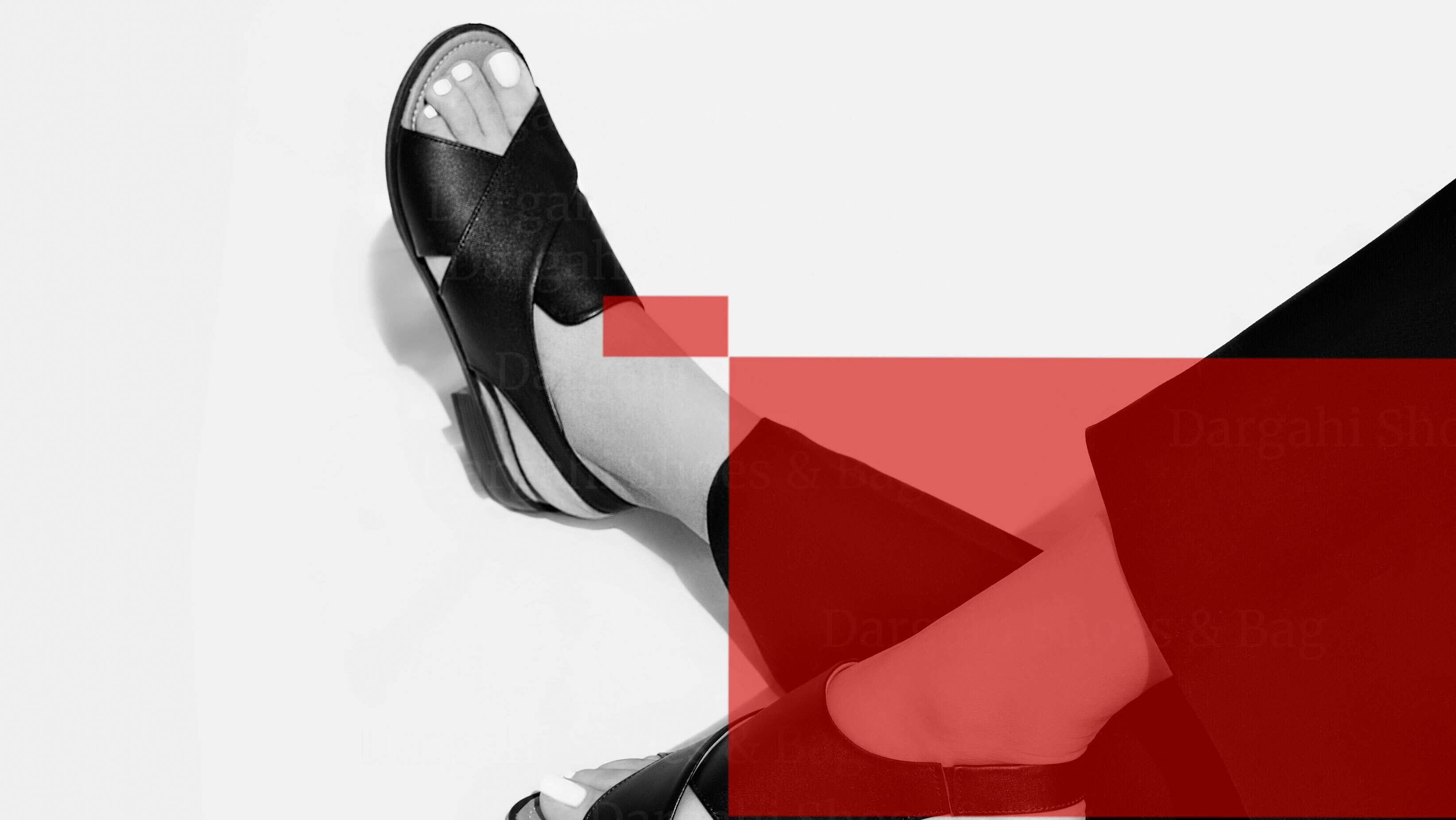 برنامه مراقبت چهار فصل از چرم 